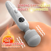 vibrator with heating